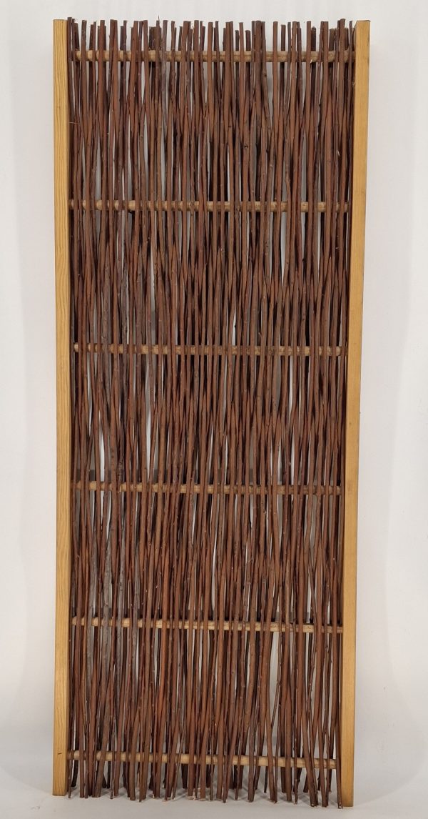 20251117_185047 20251117_185047