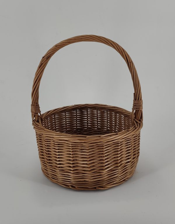 IMG_20250101_124845 IMG_20250101_124845