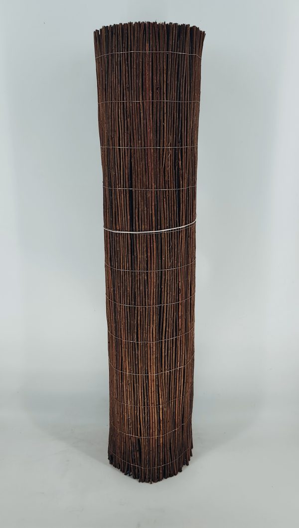 IMG_20251115_181915 IMG_20251115_181915