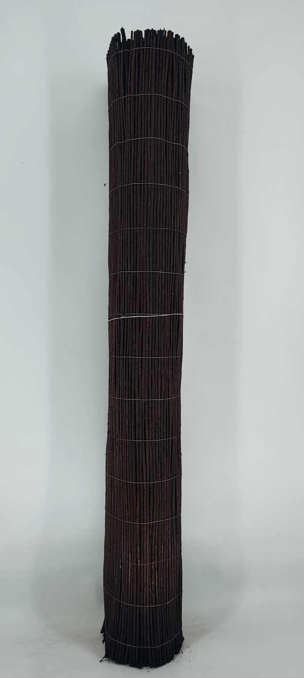 IMG_20251115_182024 IMG_20251115_182024