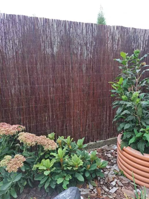 20240911_160200-scaled 20240911_160200-scaled