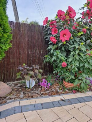 20240911_161942-scaled