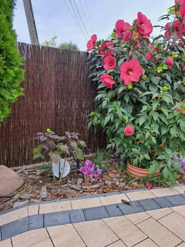 20240911_161942-scaled 20240911_161942-scaled