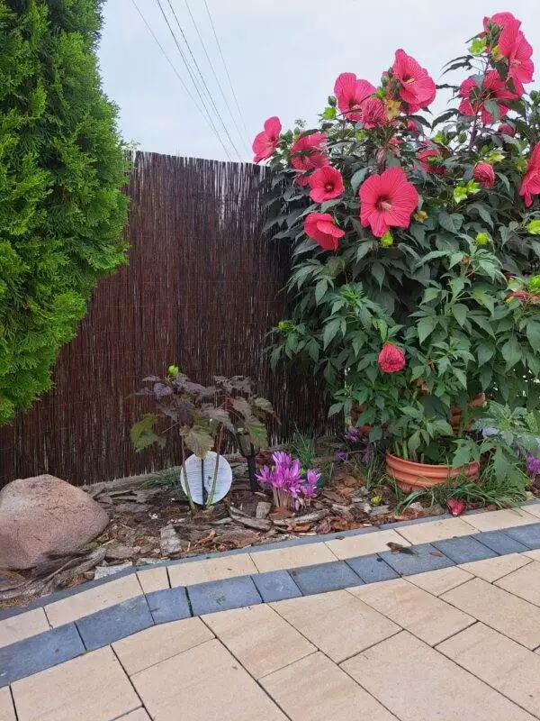 20240911_162008-scaled 20240911_162008-scaled