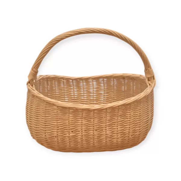 Photoroom-20241204_202142 Photoroom-20241204_202142