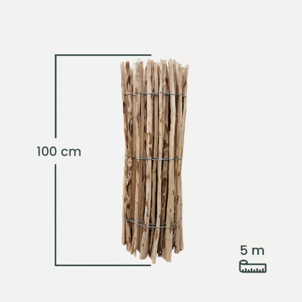 leszczyna_100-1 leszczyna_100-1