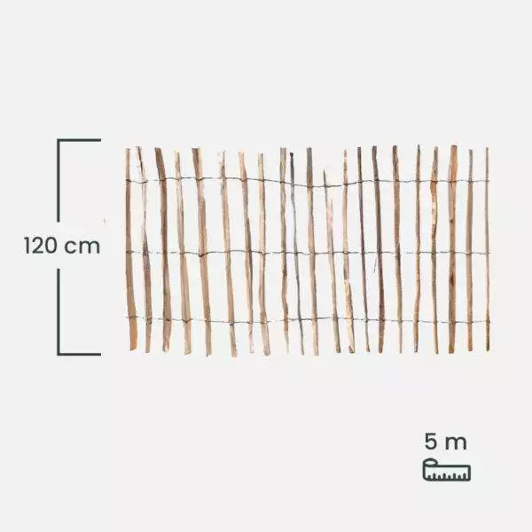 leszczyna_120 leszczyna_120