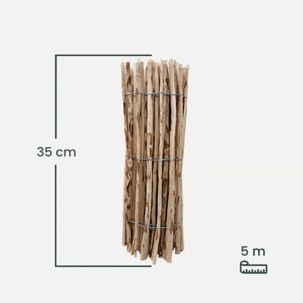 leszczyna_35 leszczyna_35