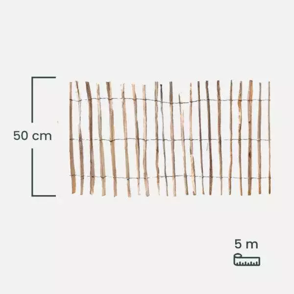 leszczyna_50 leszczyna_50