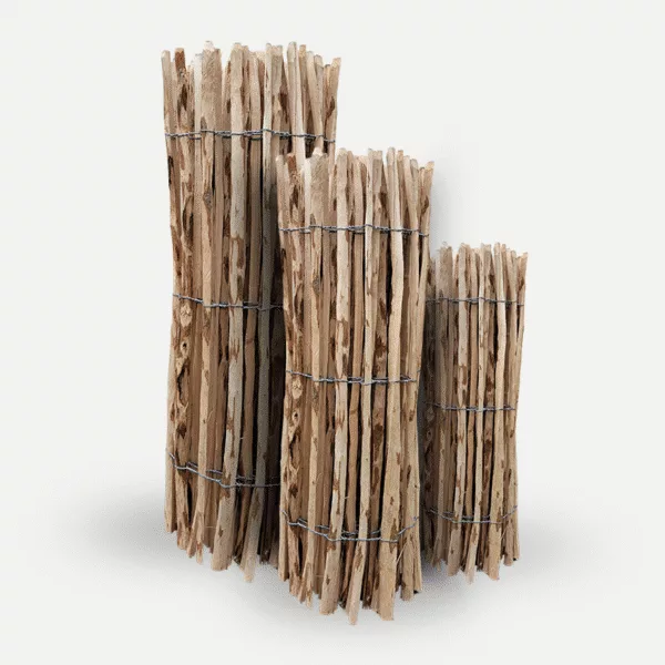 leszczyna_80-2 leszczyna_80-2