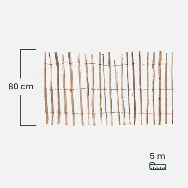 leszczyna_80 leszczyna_80