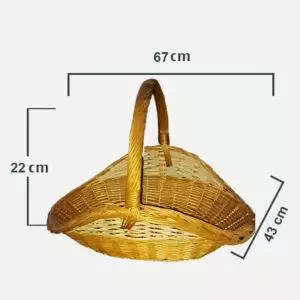 lez__333-01