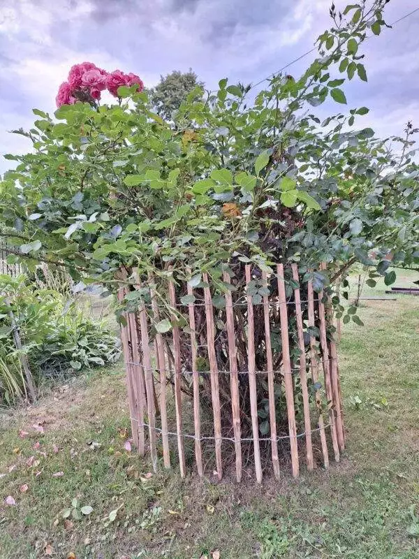 received_117219654788904 received_117219654788904