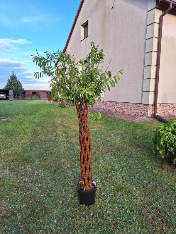 received_1317811785839318 received_1317811785839318