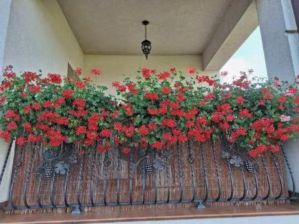 received_1338755950352790-1 received_1338755950352790-1