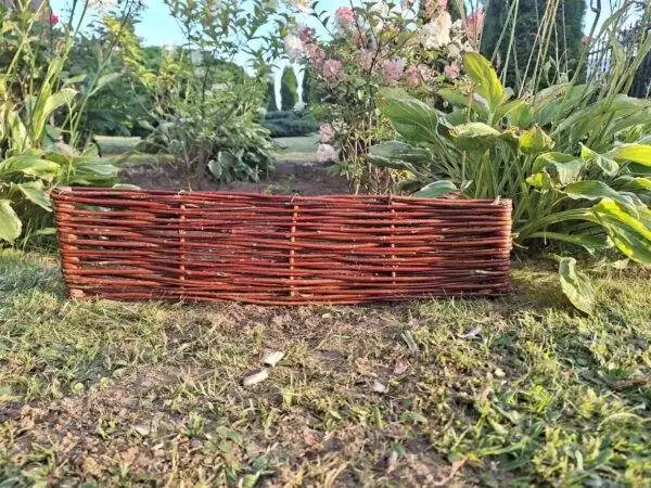 received_240853732234978 received_240853732234978