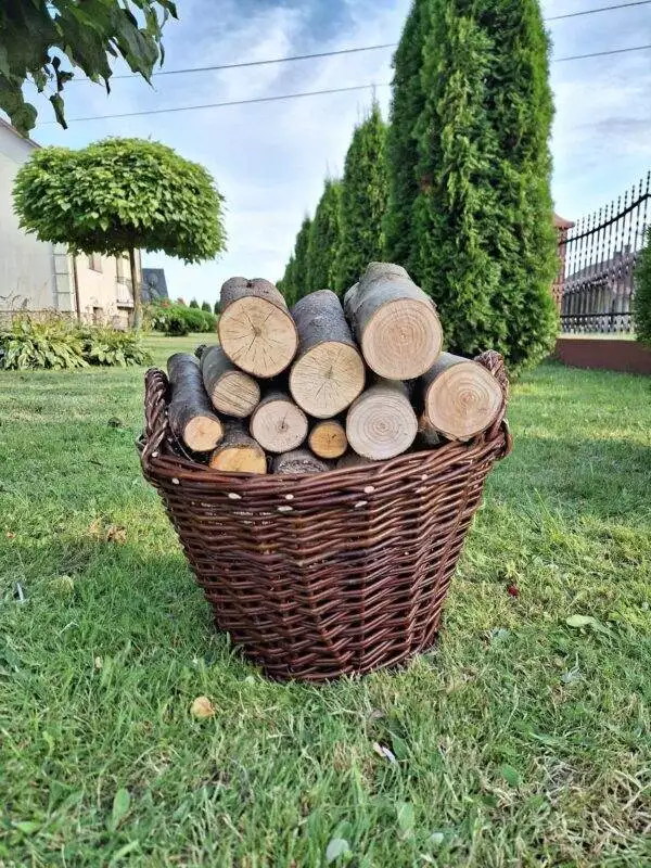 received_263356129968266 received_263356129968266