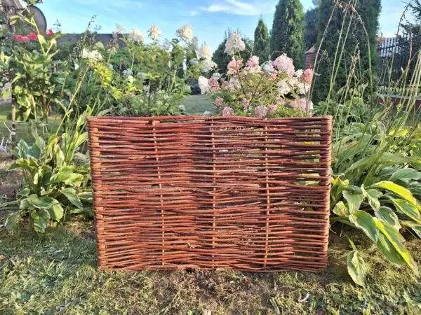 received_278431148125503 received_278431148125503