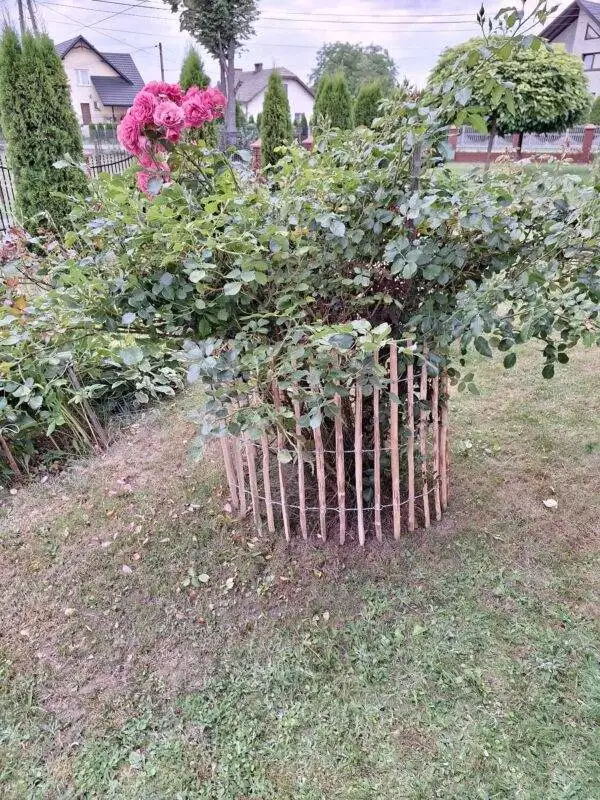 received_299902669262589 received_299902669262589