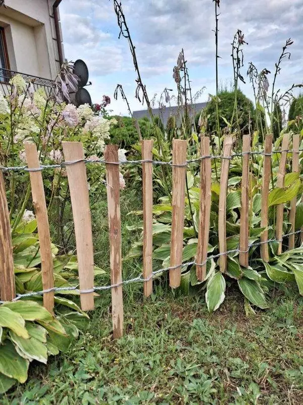 received_302507382247758 received_302507382247758