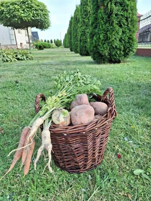 received_311640471432013 received_311640471432013