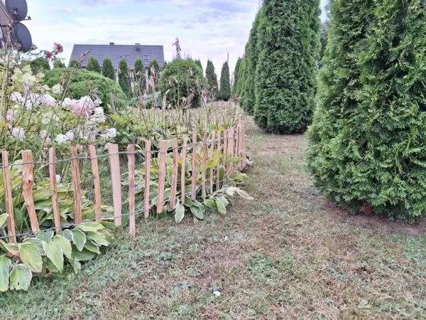 received_774351001109591 received_774351001109591