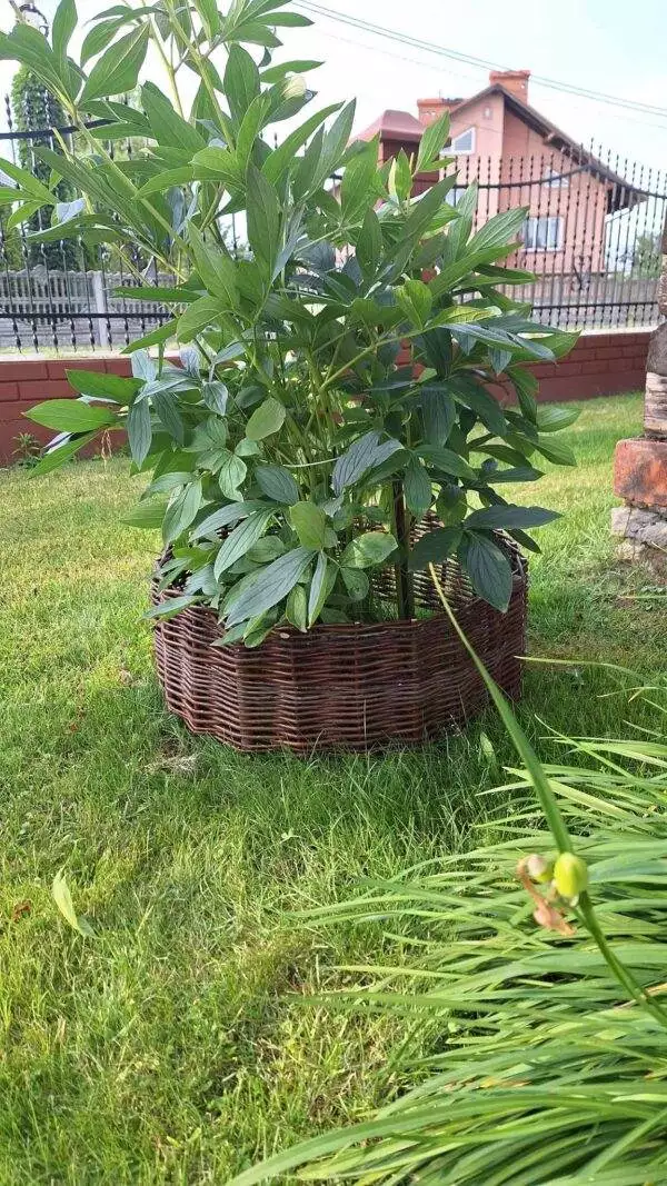 received_946610143065854 received_946610143065854