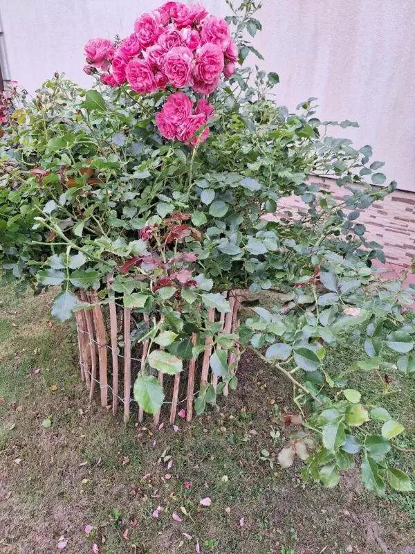 received_990891571952232 received_990891571952232